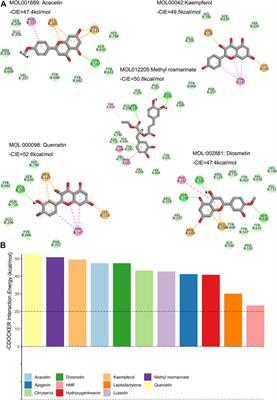 Inhibition of Podocytes DPP4 Activity Is a Potential Mechanism of Lobeliae Chinensis Herba in Treating Diabetic Kidney Disease